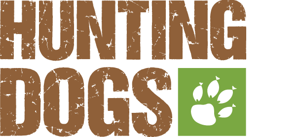 Hunting dogs